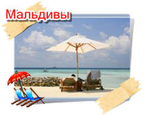 phoca thumb m maldivi006