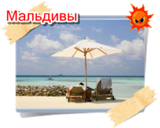 phoca thumb m maldivi006