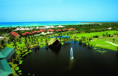 domin_BAVG_VIEWS_04